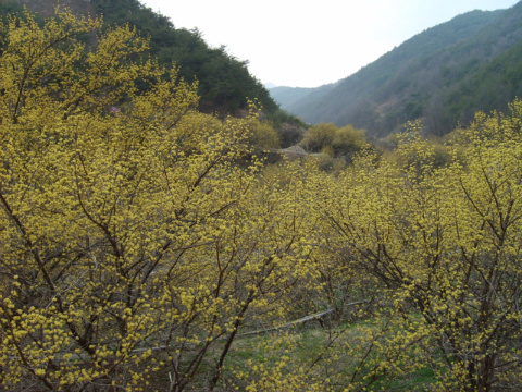 이미지를 클릭하면 원본을 보실 수 있습니다.