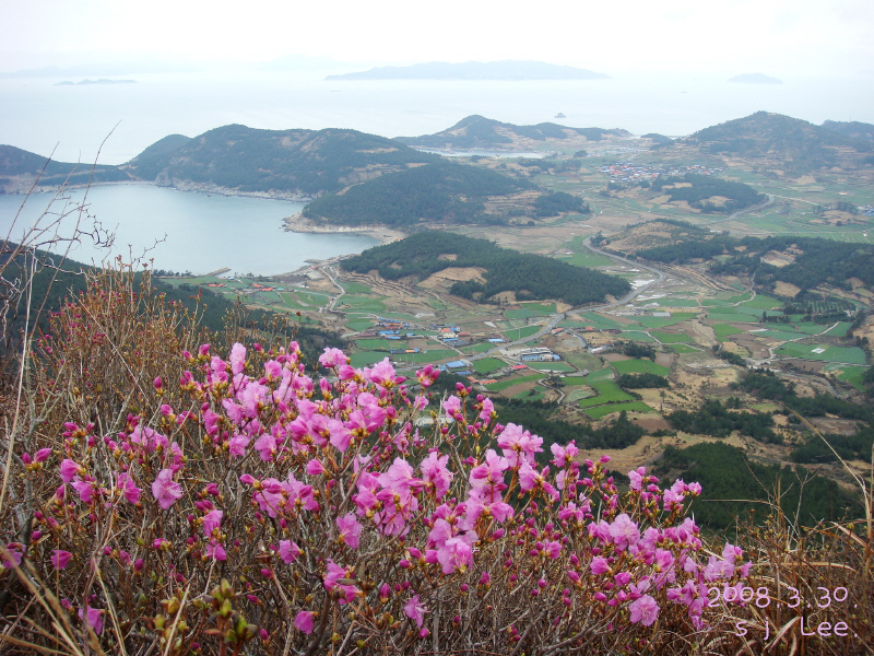 이미지를 클릭하면 원본을 보실 수 있습니다.