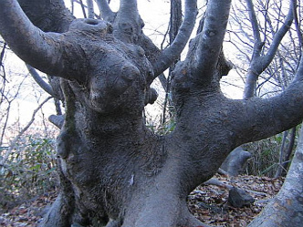 이미지를 클릭하면 원본을 보실 수 있습니다.