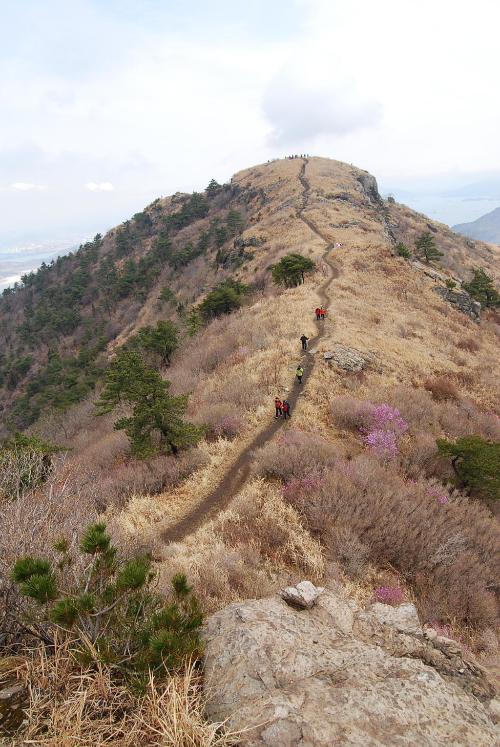 이미지를 클릭하면 원본을 보실 수 있습니다.