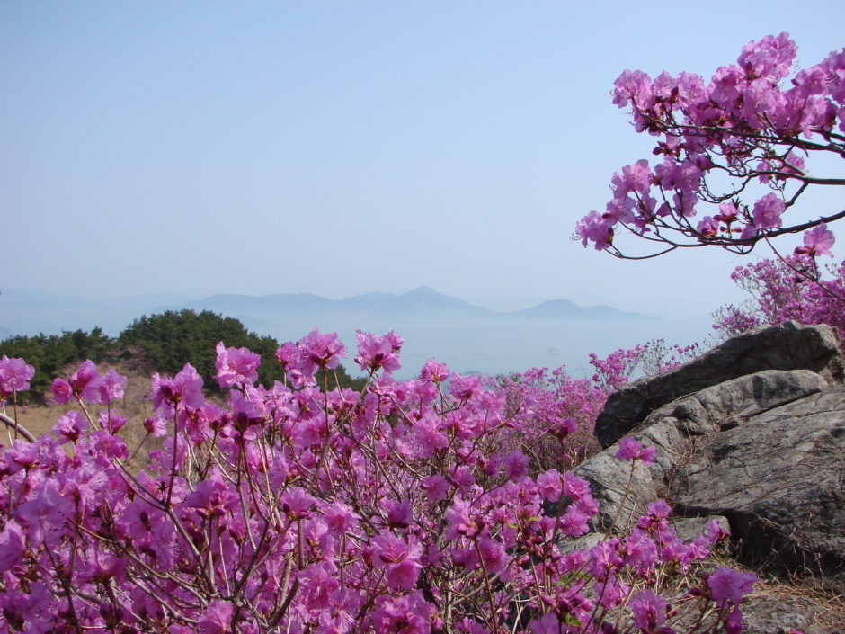 이미지를 클릭하면 원본을 보실 수 있습니다.