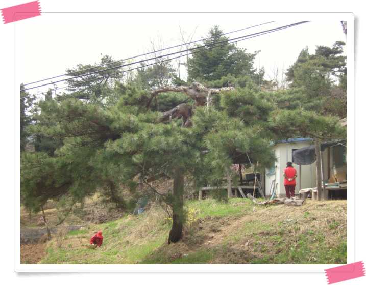 이미지를 클릭하면 원본을 보실 수 있습니다.