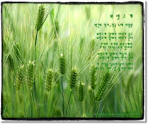 이미지를 클릭하면 원본을 보실 수 있습니다.