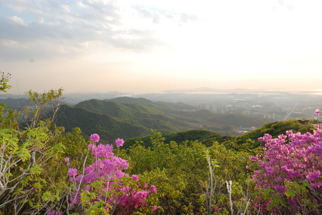 이미지를 클릭하면 원본을 보실 수 있습니다.