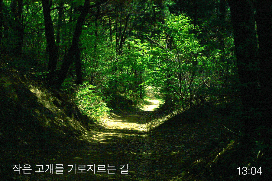 이미지를 클릭하면 원본을 보실 수 있습니다.