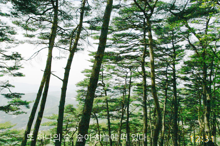 이미지를 클릭하면 원본을 보실 수 있습니다.