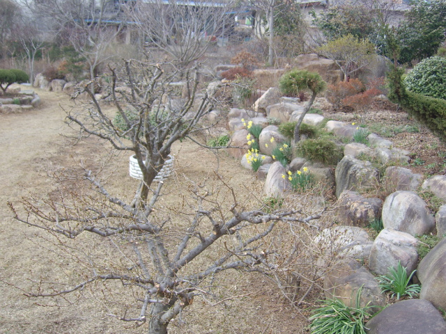 이미지를 클릭하면 원본을 보실 수 있습니다.