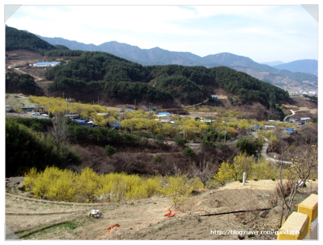 이미지를 클릭하면 원본을 보실 수 있습니다.