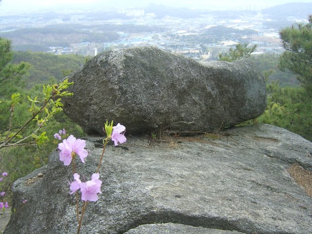 이미지를 클릭하면 원본을 보실 수 있습니다.