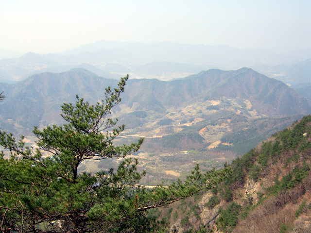 이미지를 클릭하면 원본을 보실 수 있습니다.