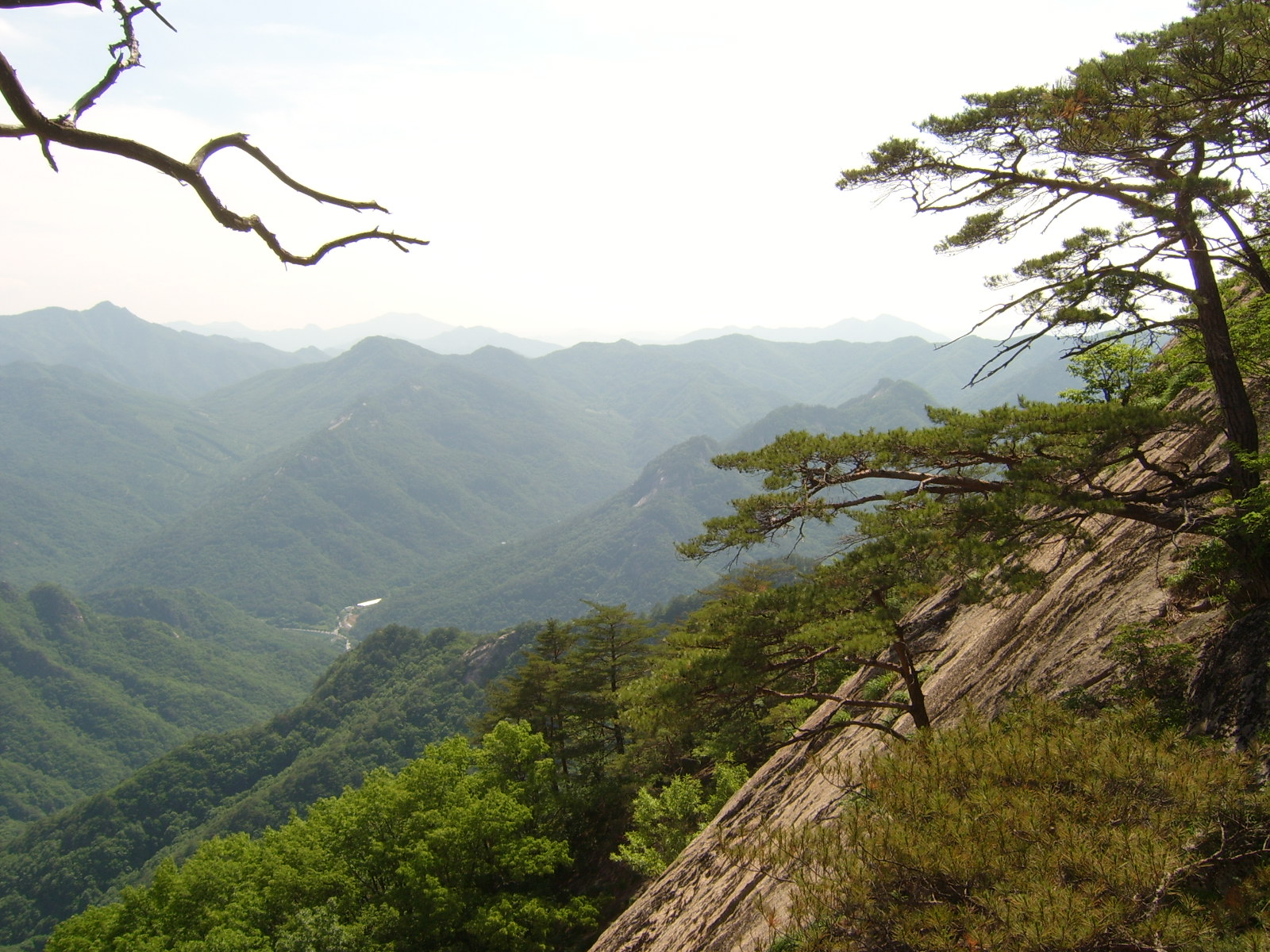 이미지를 클릭하면 원본을 보실 수 있습니다.