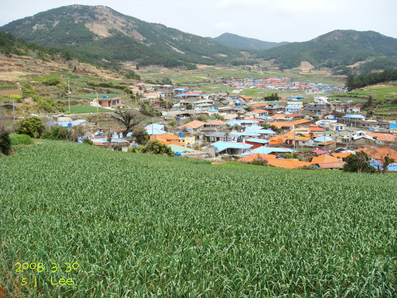 이미지를 클릭하면 원본을 보실 수 있습니다.