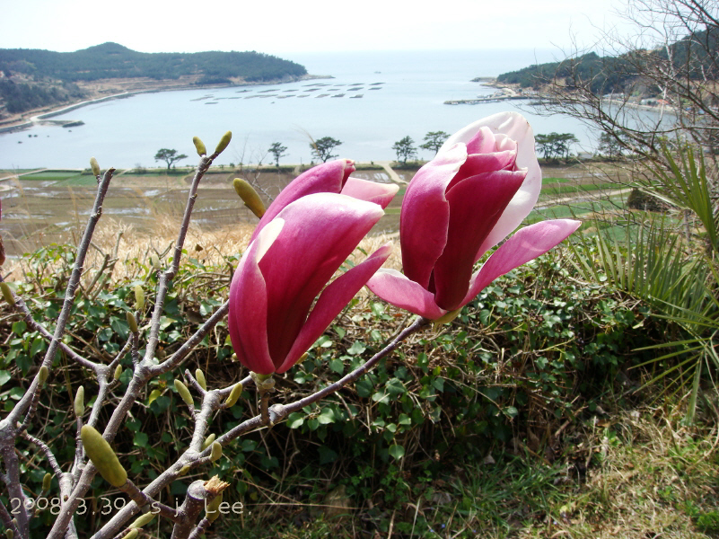이미지를 클릭하면 원본을 보실 수 있습니다.