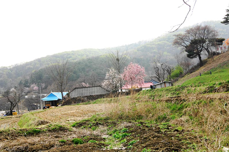 이미지를 클릭하면 원본을 보실 수 있습니다.