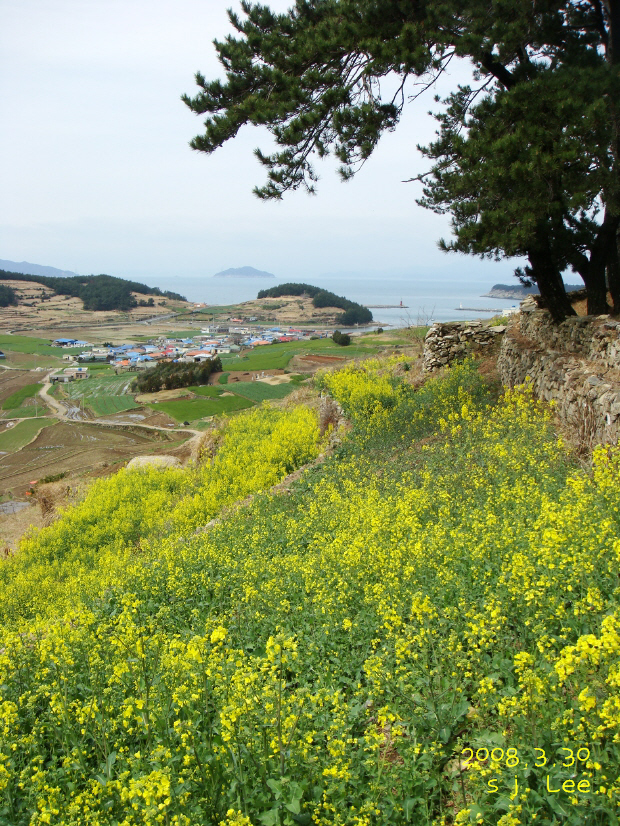 이미지를 클릭하면 원본을 보실 수 있습니다.