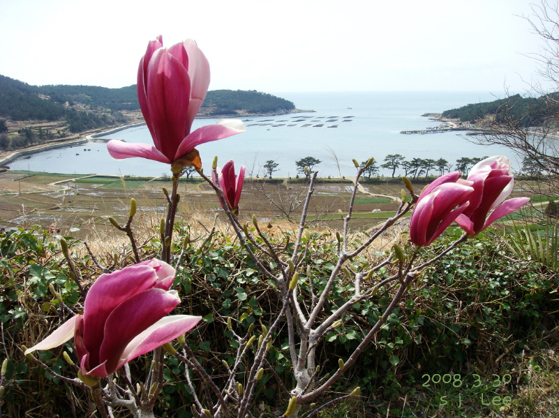 이미지를 클릭하면 원본을 보실 수 있습니다.