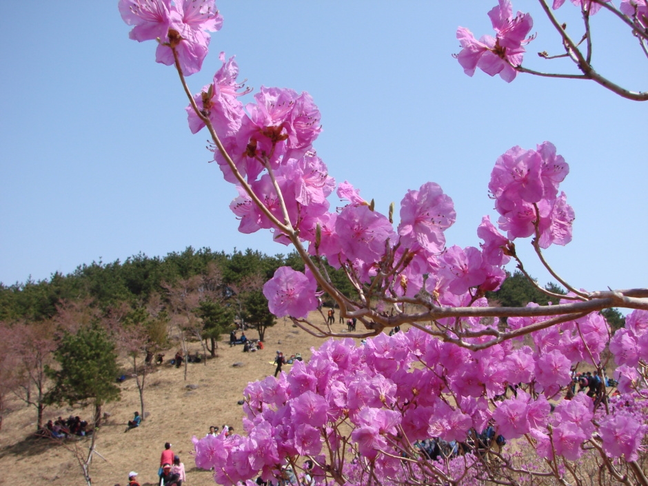이미지를 클릭하면 원본을 보실 수 있습니다.