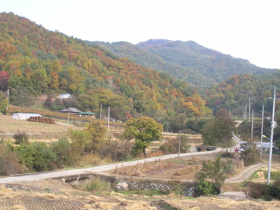○전원에 향기○