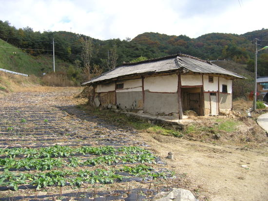 ○전원에 향기○