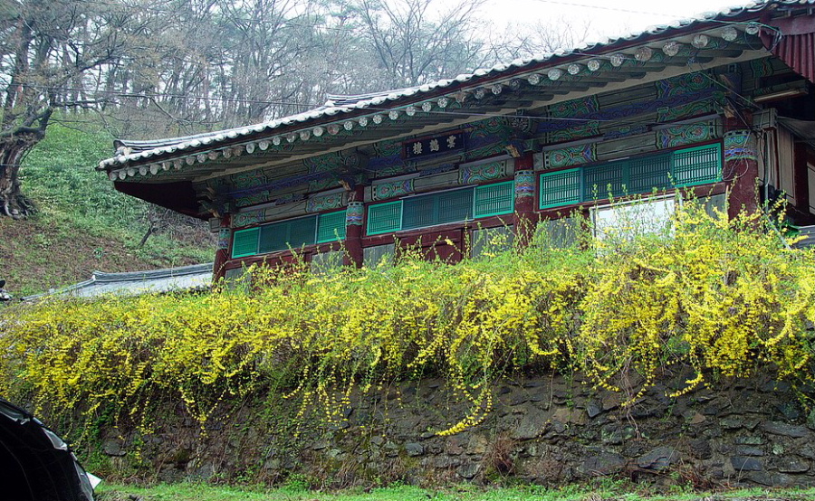 이미지를 클릭하면 원본을 보실 수 있습니다.