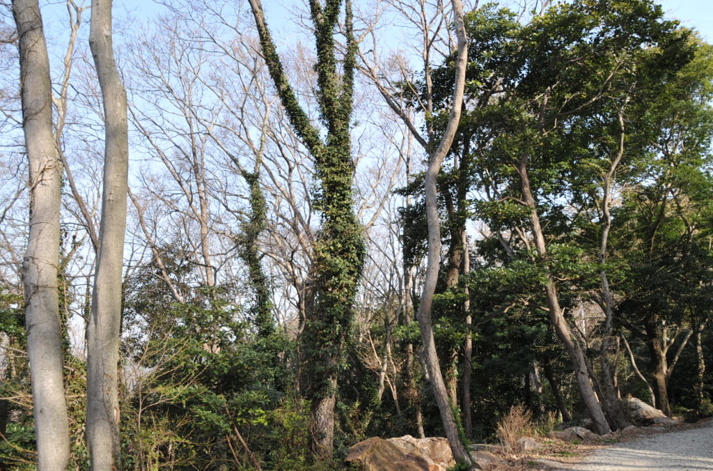 이미지를 클릭하면 원본을 보실 수 있습니다.