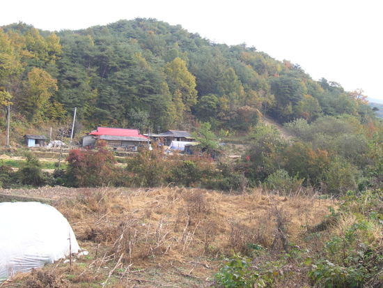○전원에 향기○