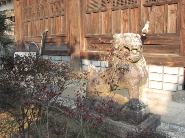 이미지를 클릭하면 원본을 보실 수 있습니다.