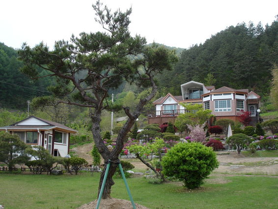 이미지를 클릭하면 원본을 보실 수 있습니다.