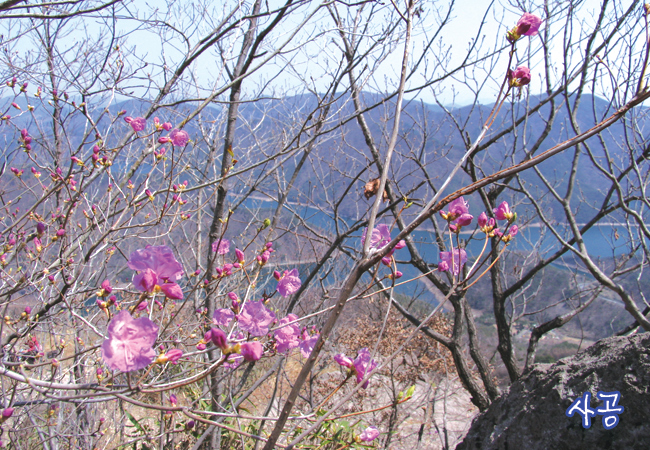 이미지를 클릭하면 원본을 보실 수 있습니다.