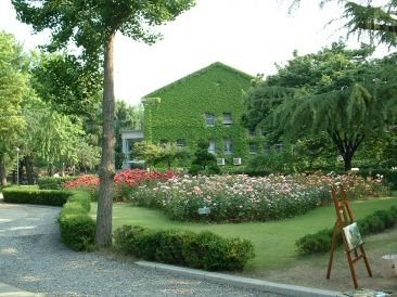 이미지를 클릭하면 원본을 보실 수 있습니다.