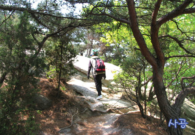 이미지를 클릭하면 원본을 보실 수 있습니다.