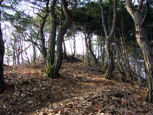 이미지를 클릭하면 원본을 보실 수 있습니다.