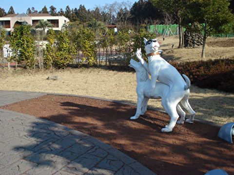 이미지를 클릭하면 원본을 보실 수 있습니다.