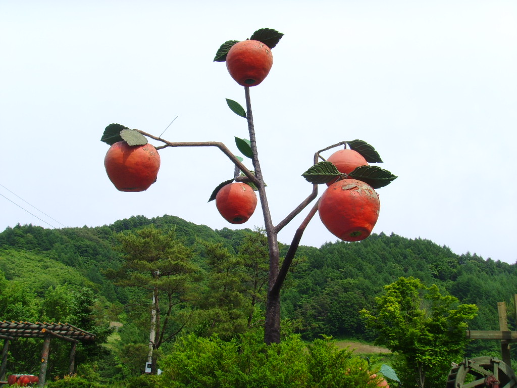 이미지를 클릭하면 원본을 보실 수 있습니다.
