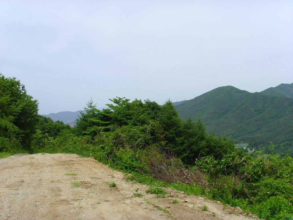 이미지를 클릭하면 원본을 보실 수 있습니다.