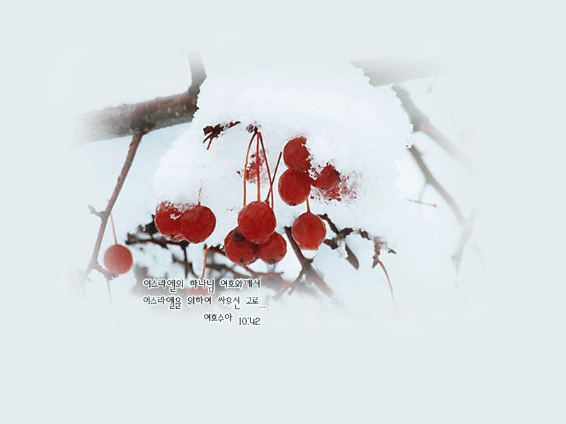 이미지를 클릭하면 원본을 보실 수 있습니다.