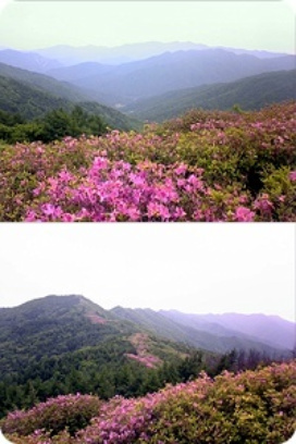 이미지를 클릭하면 원본을 보실 수 있습니다.