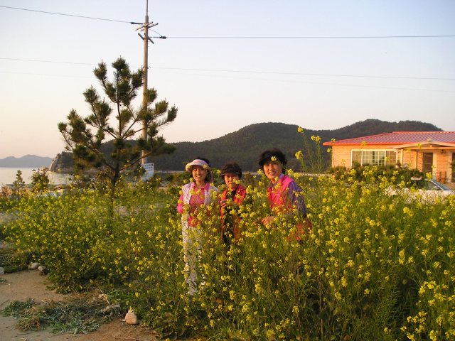 이미지를 클릭하면 원본을 보실 수 있습니다.