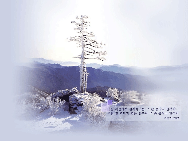 이미지를 클릭하면 원본을 보실 수 있습니다.