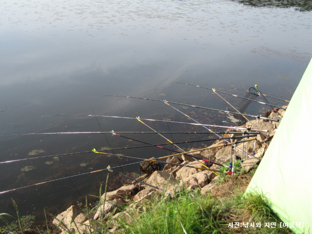 이미지를 클릭하면 원본을 보실 수 있습니다.