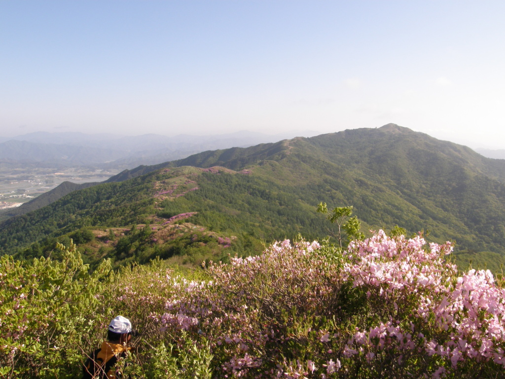 이미지를 클릭하면 원본을 보실 수 있습니다.