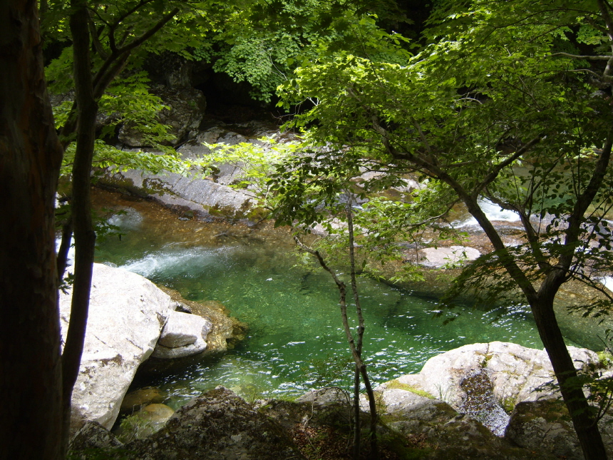 이미지를 클릭하면 원본을 보실 수 있습니다.