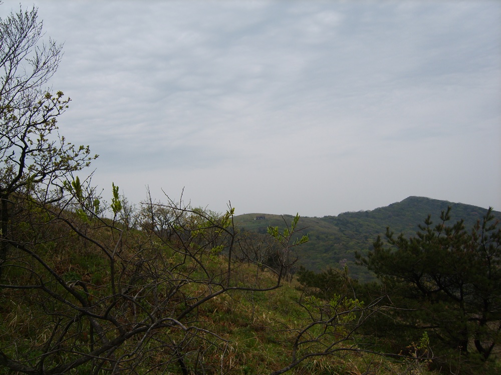 이미지를 클릭하면 원본을 보실 수 있습니다.