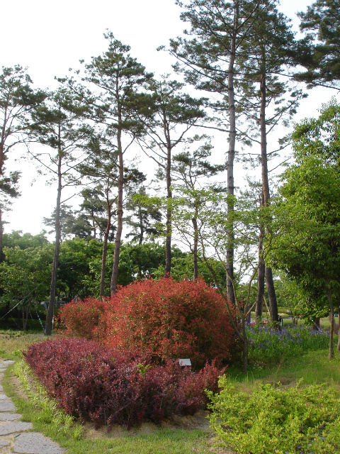 이미지를 클릭하면 원본을 보실 수 있습니다.
