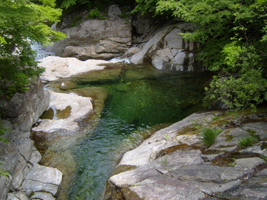 이미지를 클릭하면 원본을 보실 수 있습니다.