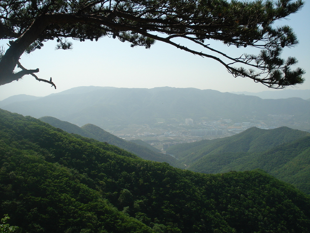 이미지를 클릭하면 원본을 보실 수 있습니다.