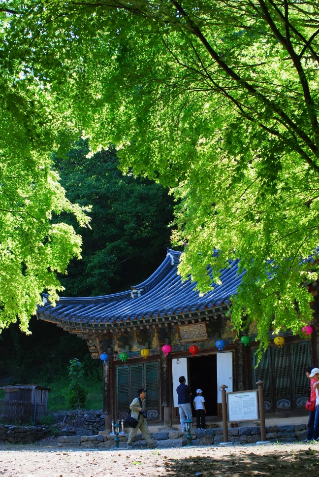이미지를 클릭하면 원본을 보실 수 있습니다.