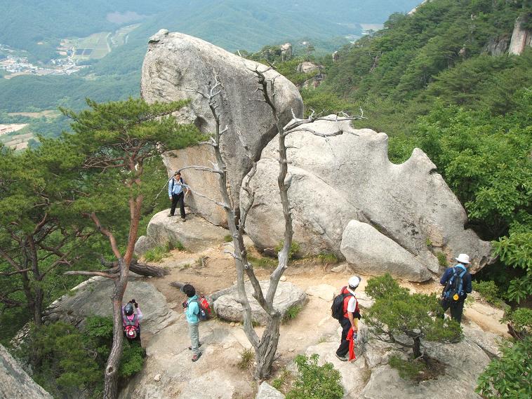 이미지를 클릭하면 원본을 보실 수 있습니다.