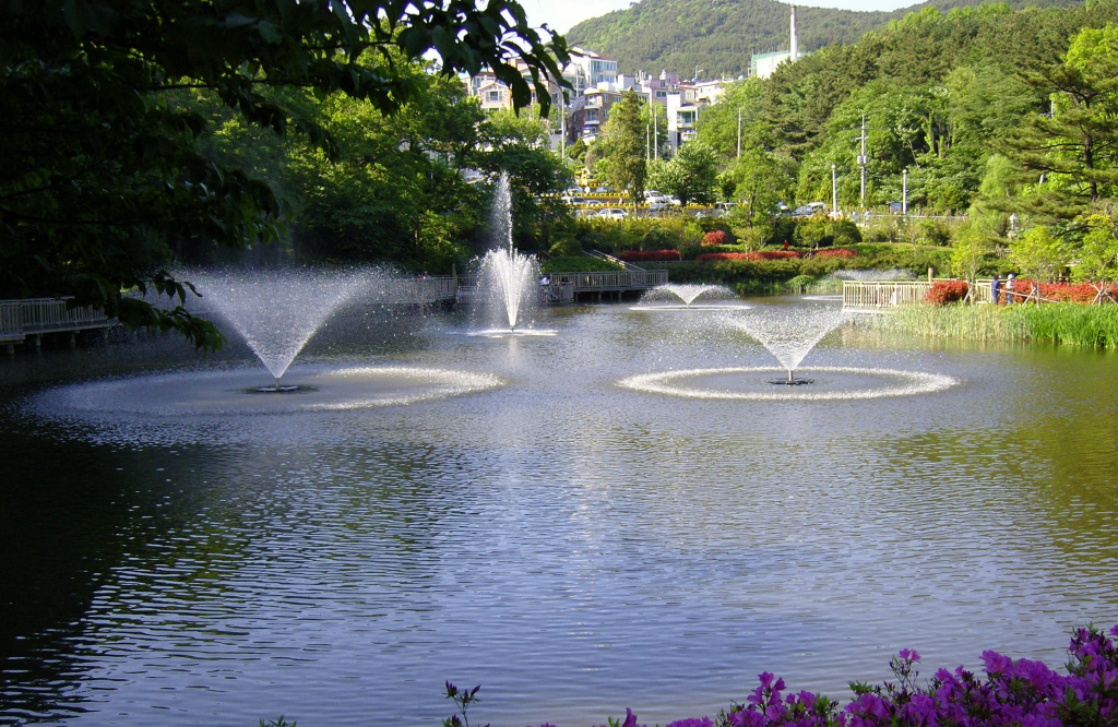 이미지를 클릭하면 원본을 보실 수 있습니다.
