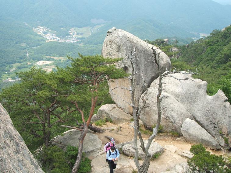 이미지를 클릭하면 원본을 보실 수 있습니다.